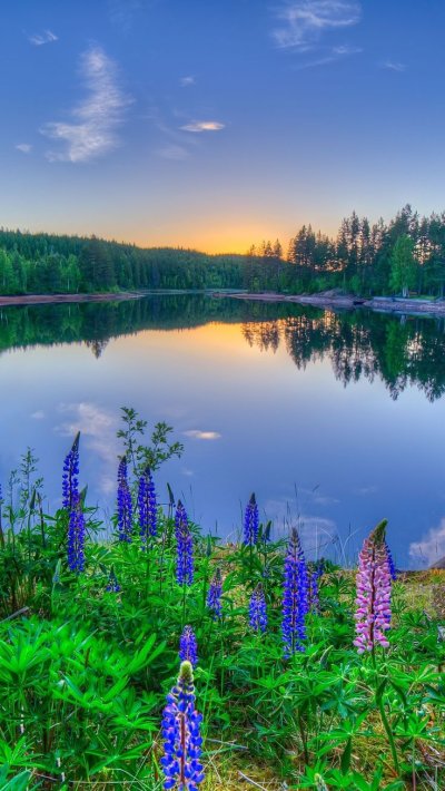 Красивая природа