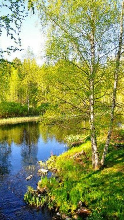 Русская природа