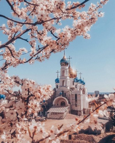 Храм Христа Спасителя цветут деревья