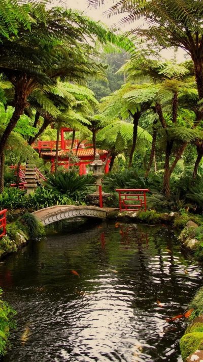 Тропический сад Монте