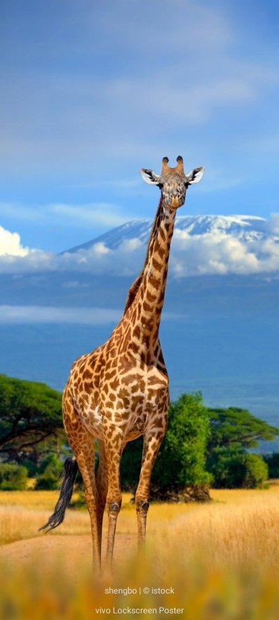 Природа Африки