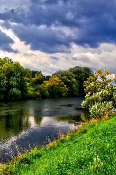 Природа река