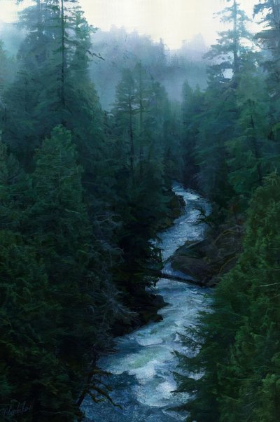 Скандинавия лес Шварцвальд