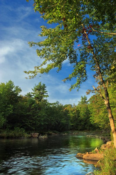 Природа река