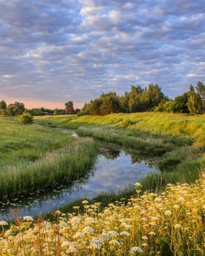 Поля Владимирской области