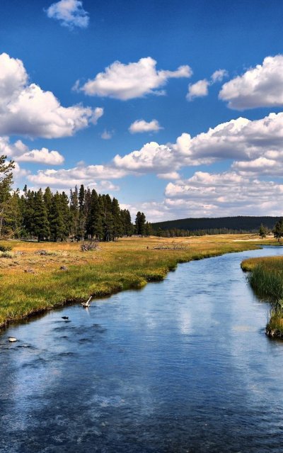 Природа речка