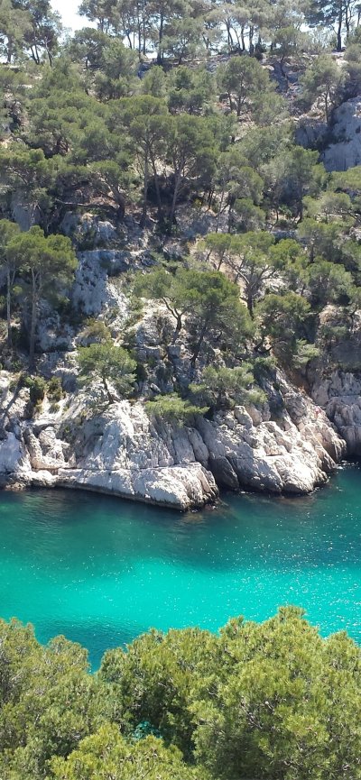 Природа Средиземного моря