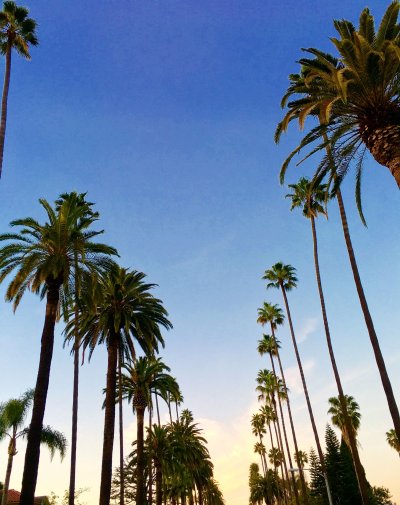 Лос Анджелес Калифорния Беверли Хиллз