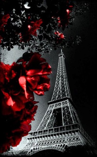 Эйфелева башня в Париже черно белая