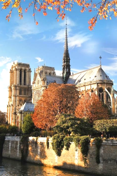 Нотр дам де пари