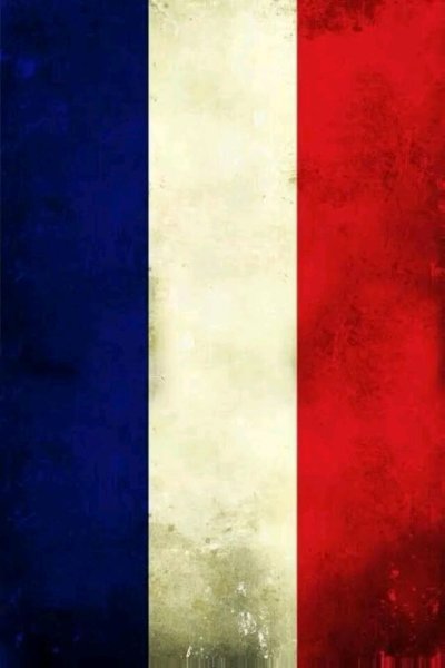 Флаг Франции