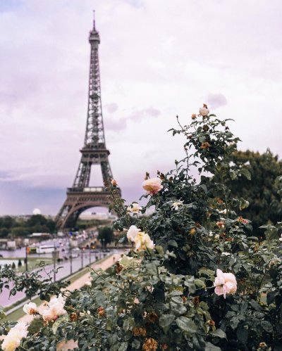 Франция эльфивая башня