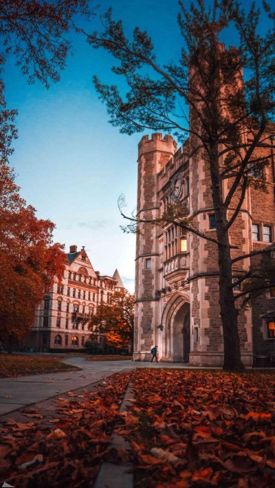 Принстон Нью-джерси университет