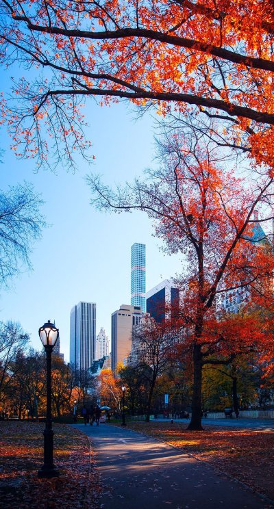 Осенний город