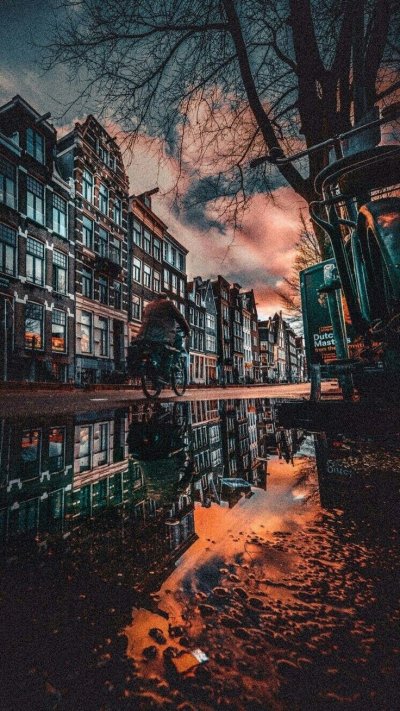 Эстетика природы города