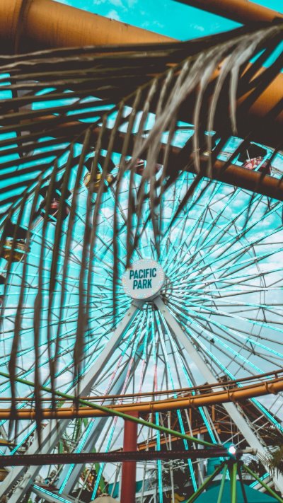 Пальма аттракцион