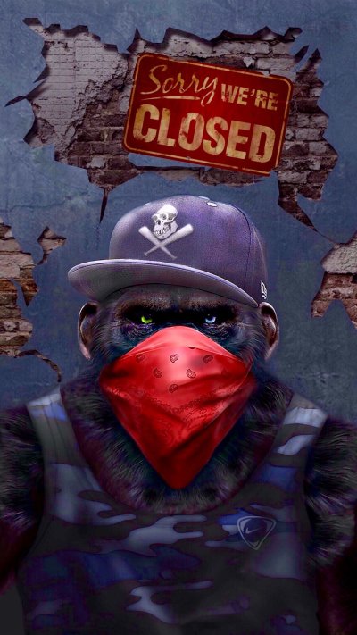 Обезьяна в бандане