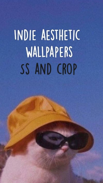 Кот в Панаме