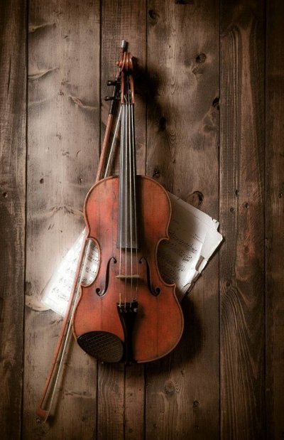 Виолин музыкальный инструмент
