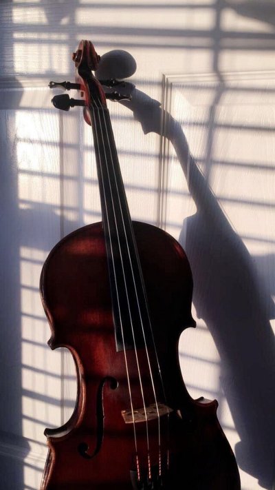 Скрипка Эстетика