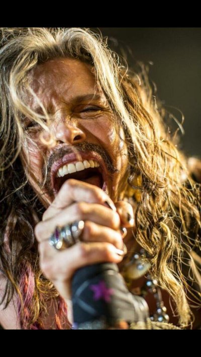 Тайлер аэросмит