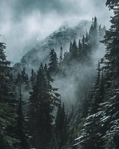 Скандинавия лес Шварцвальд