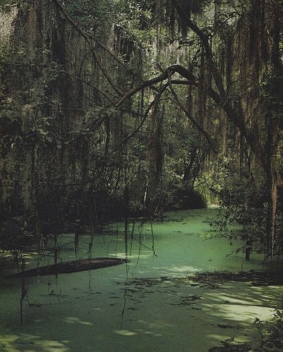 Болото Манчак