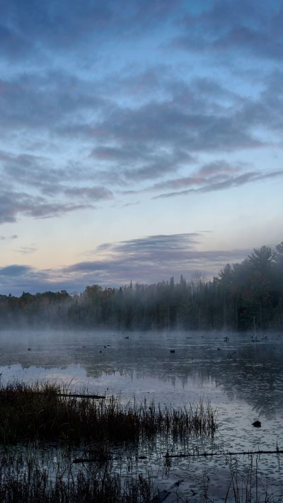 Озеро в тумане