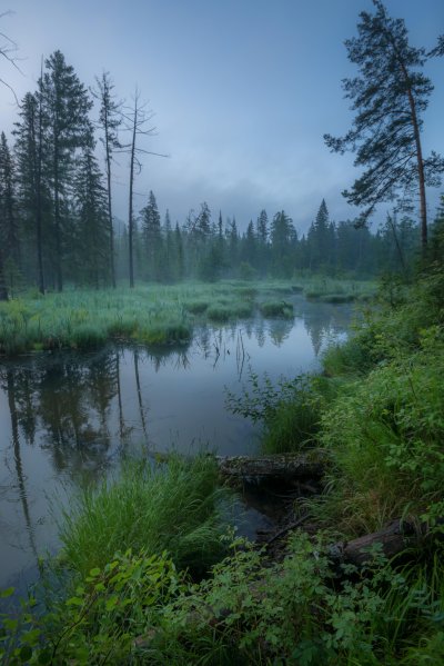 Болото туман