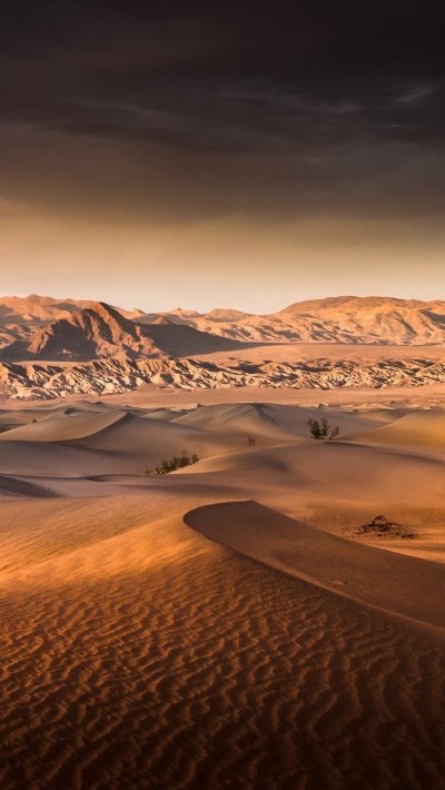 Земля в пустыне