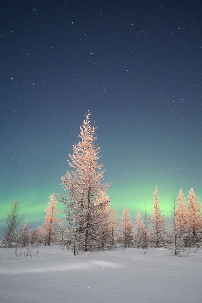 Северное сияние новый Уренгой