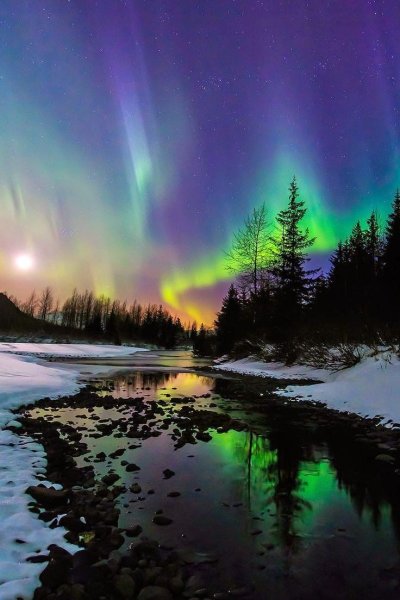 Аврора бореалис Северное сияние