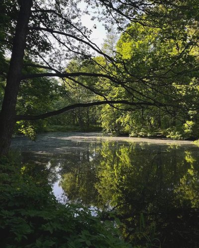 Эстетичная лето в Чкаловске