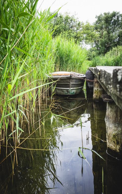 Болотная река