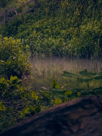 Под водой в болоте