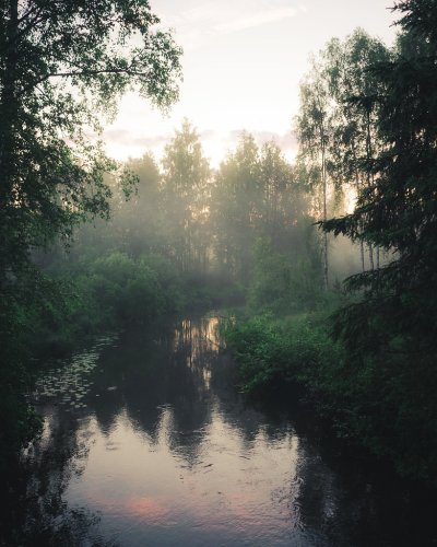 Болотная Топь Эстетика