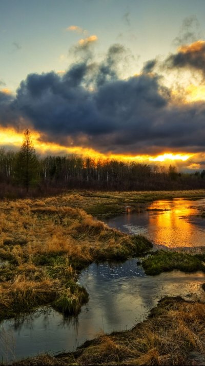 Рассвет на болоте