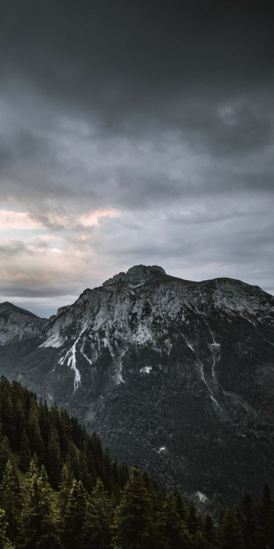 Горы покрытые лесом