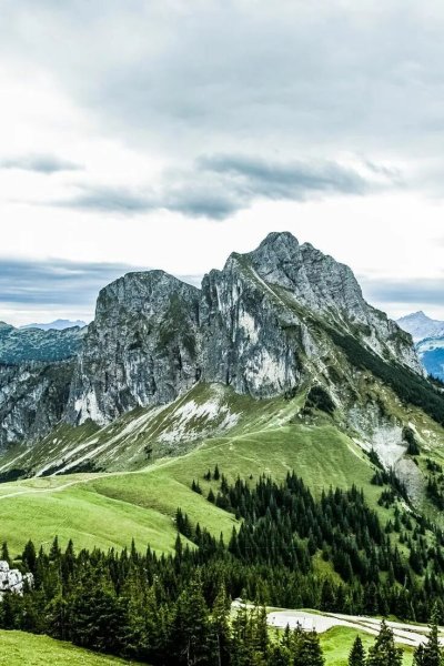 Горные виды