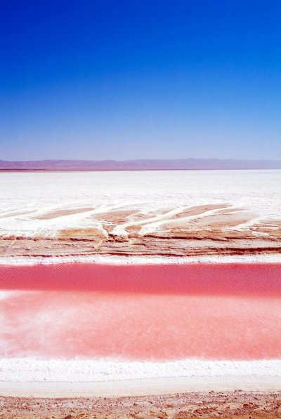 Шотт Эль Джерид Тунис