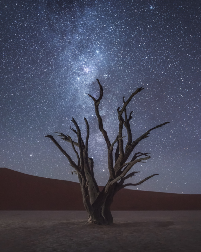 Ночное небо в пустыне