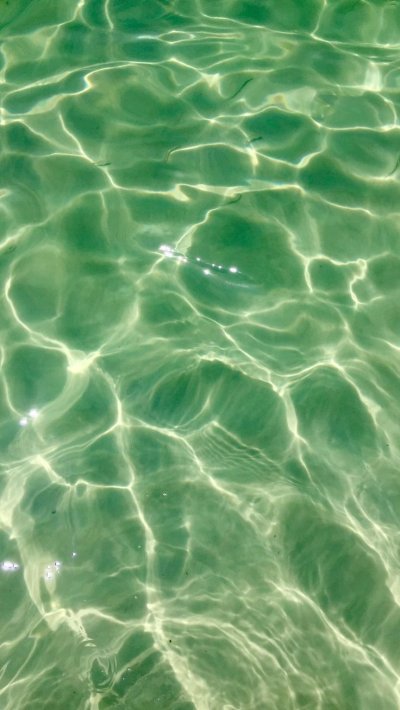 Эстетика зеленого