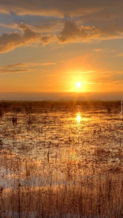 Болотные рассветы