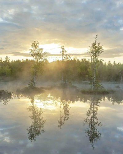 Петр косых фотограф