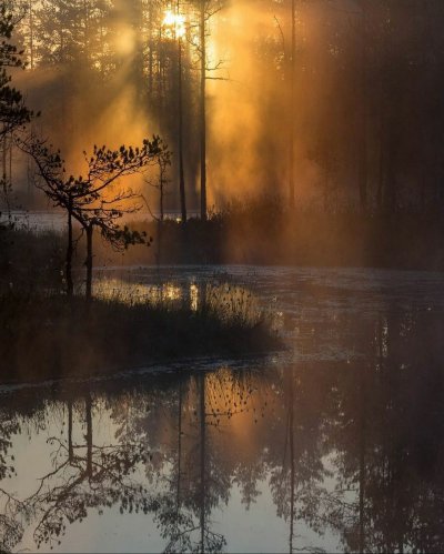 Магический рассвет