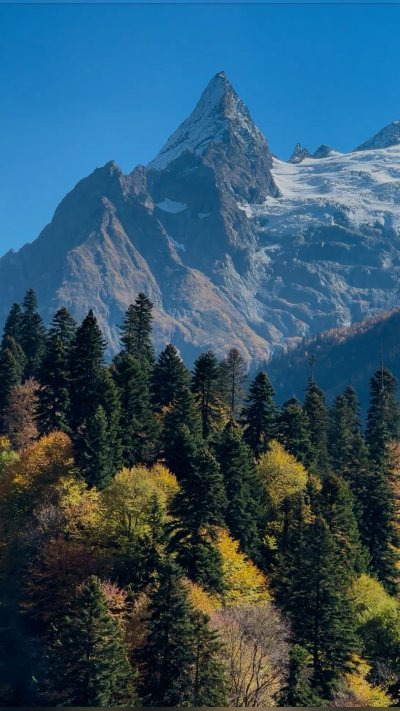 Кавказские вершины