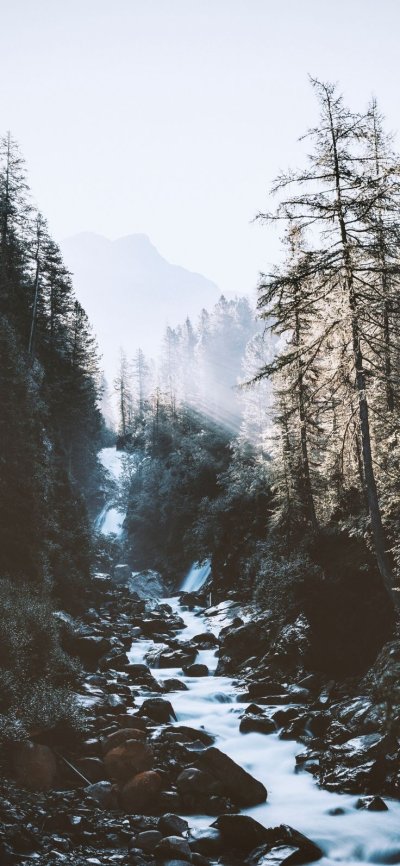 Горы лес река