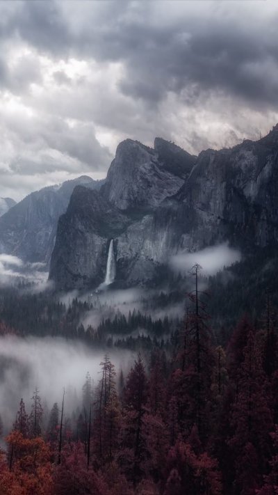 Скандинавия лес Шварцвальд