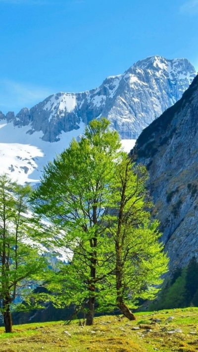 Горный пейзаж