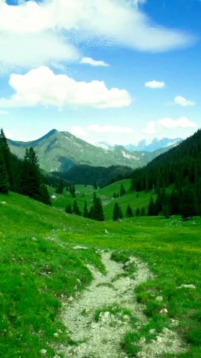 Альпийские Луга Бавария